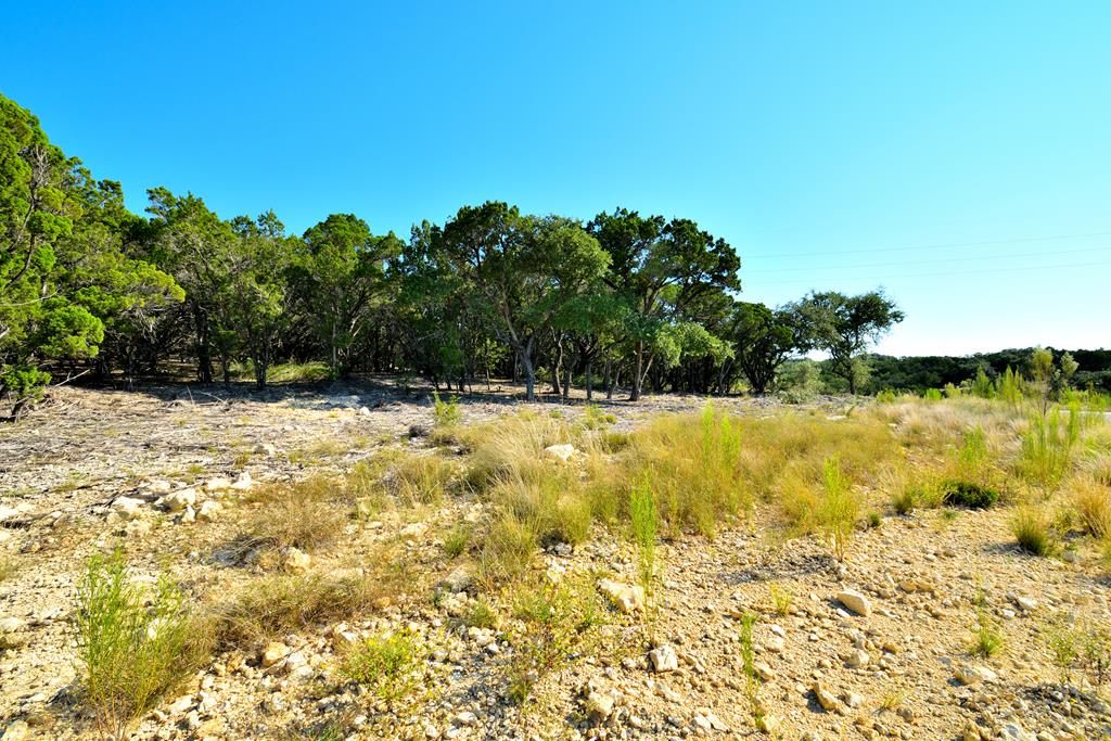 Lot 8 Private Road 1708, Unit 8 Mico, TX 78056 - Photo 1 of 32 a view of swimming pool with an outdoor space and seating area