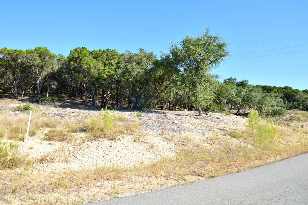 Lot 8 Private Road 1708, Unit 8 Mico, TX 78056 - Photo 11 of 32 a view of yard covered with snow in the background