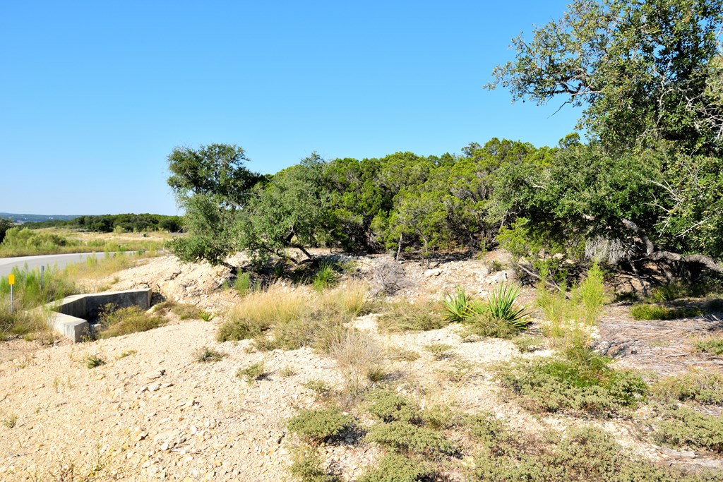 Lot 8 Private Road 1708, Unit 8 Mico, TX 78056 - Photo 12 of 32 a view of a yard with trees