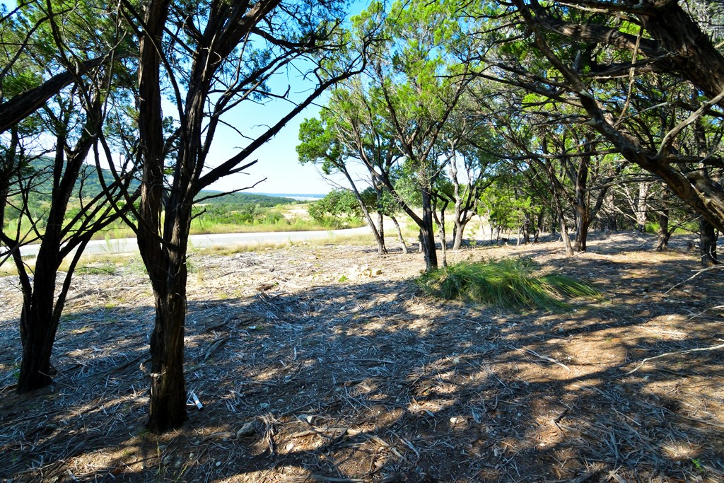 Lot 8 Private Road 1708, Unit 8 Mico, TX 78056 - Photo 13 of 32 a view of backyard with large trees