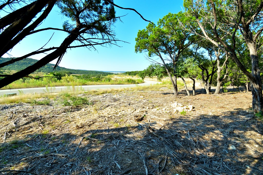 Lot 8 Private Road 1708, Unit 8 Mico, TX 78056 - Photo 14 of 32 a view of yard with large trees