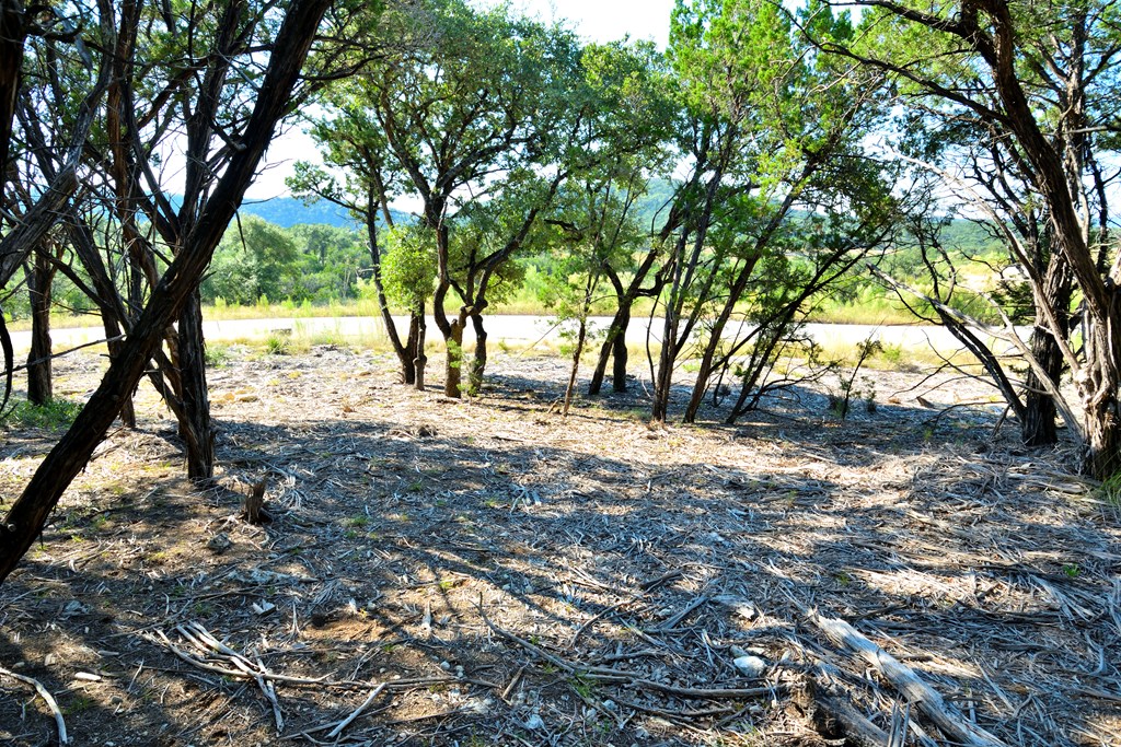 Lot 8 Private Road 1708, Unit 8 Mico, TX 78056 - Photo 15 of 32 a view of large trees with yard