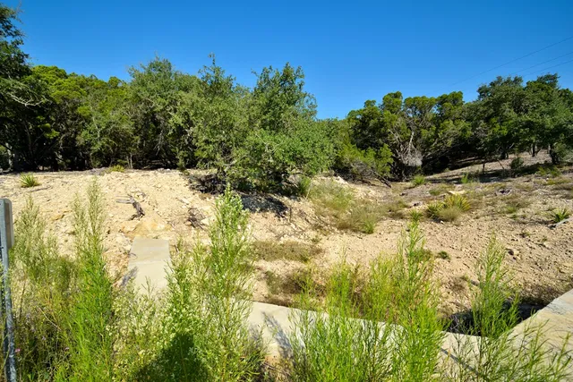 a view of a yard with plants and trees