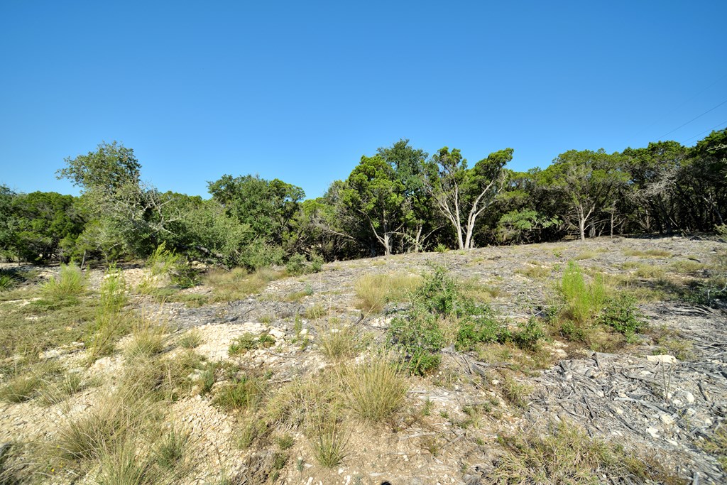 Lot 8 Private Road 1708, Unit 8 Mico, TX 78056 - Photo 20 of 32 a view of a yard with a tree