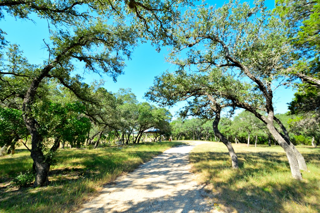 Lot 8 Private Road 1708, Unit 8 Mico, TX 78056 - Photo 25 of 32 a view of yard with tree