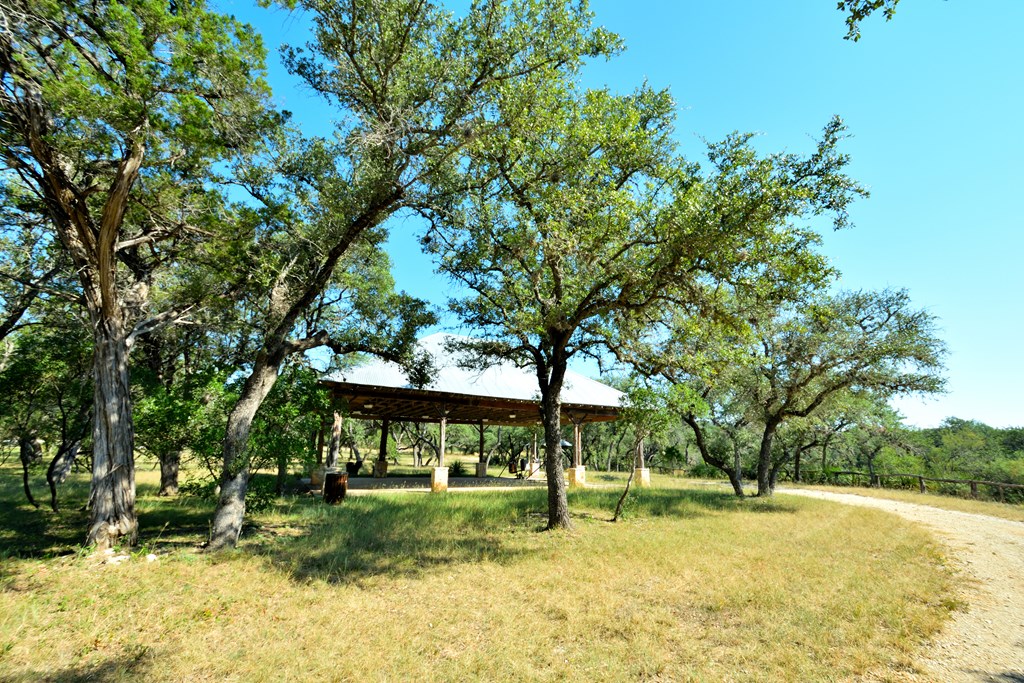Lot 8 Private Road 1708, Unit 8 Mico, TX 78056 - Photo 26 of 32 a view of backyard with table and chairs and a large tree