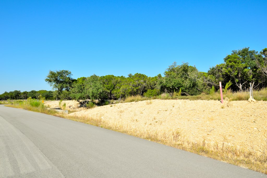 Lot 8 Private Road 1708, Unit 8 Mico, TX 78056 - Photo 6 of 32 a view of a yard with trees