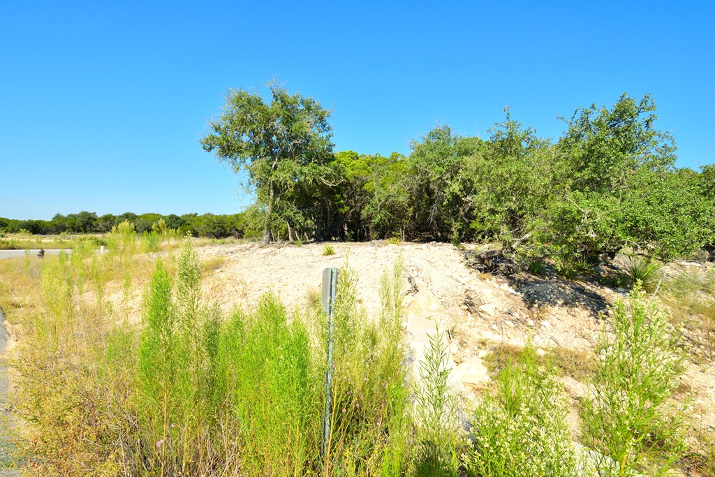 Lot 8 Private Road 1708, Unit 8 Mico, TX 78056 - Photo 7 of 32 a view of yard with swimming pool and trees in the background