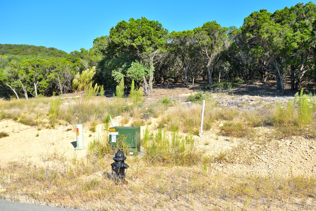 Lot 8 Private Road 1708, Unit 8 Mico, TX 78056 - Photo 10 of 32 a view of yard along with trees