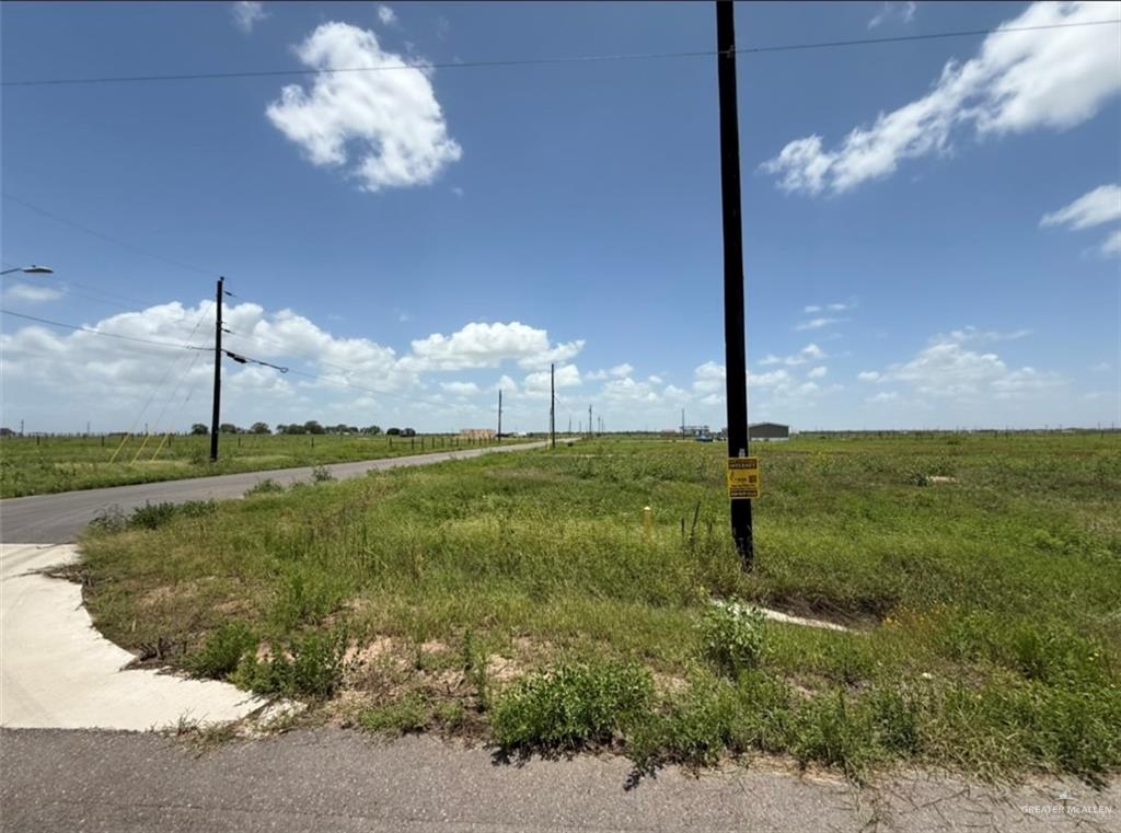 14865 Kyle Lane Edcouch, TX 78538 - Photo 6 of 12