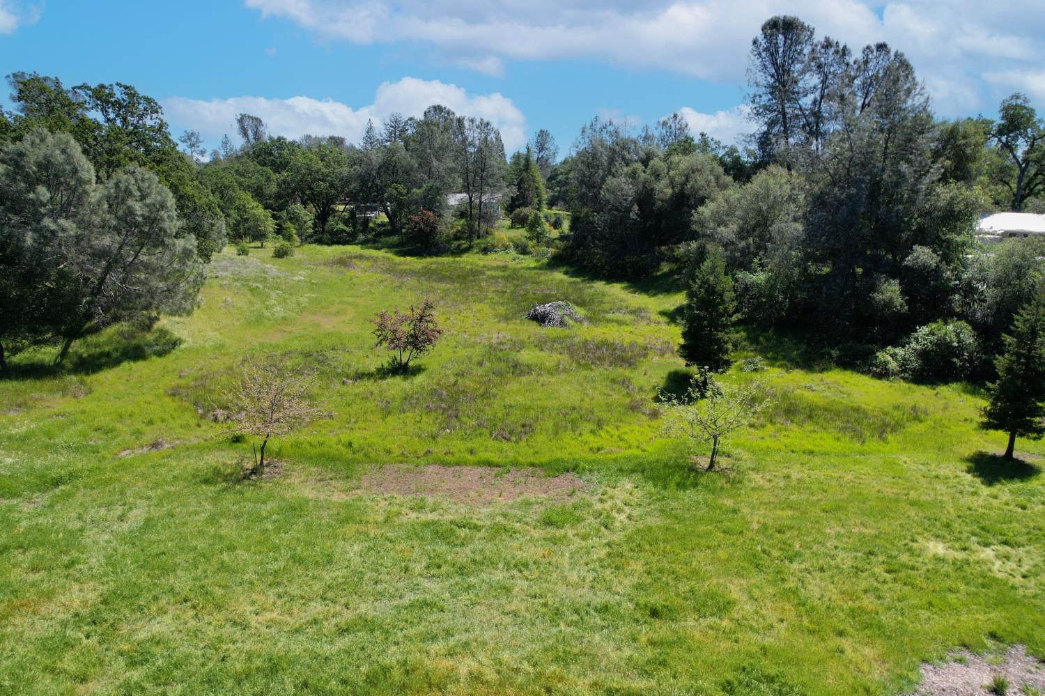 6490 Pleasant Valley Road Diamond Springs, CA 95619 - Photo 9 of 36