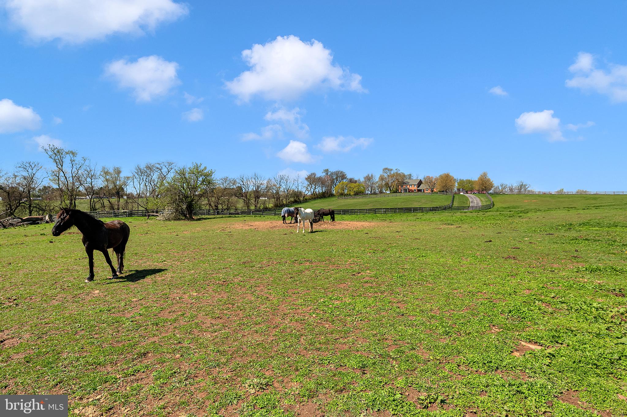 26100 Mullinix Mill Road Mount Airy, MD 21771 - Photo 96 of 99 Serene pasture under blue skies.
