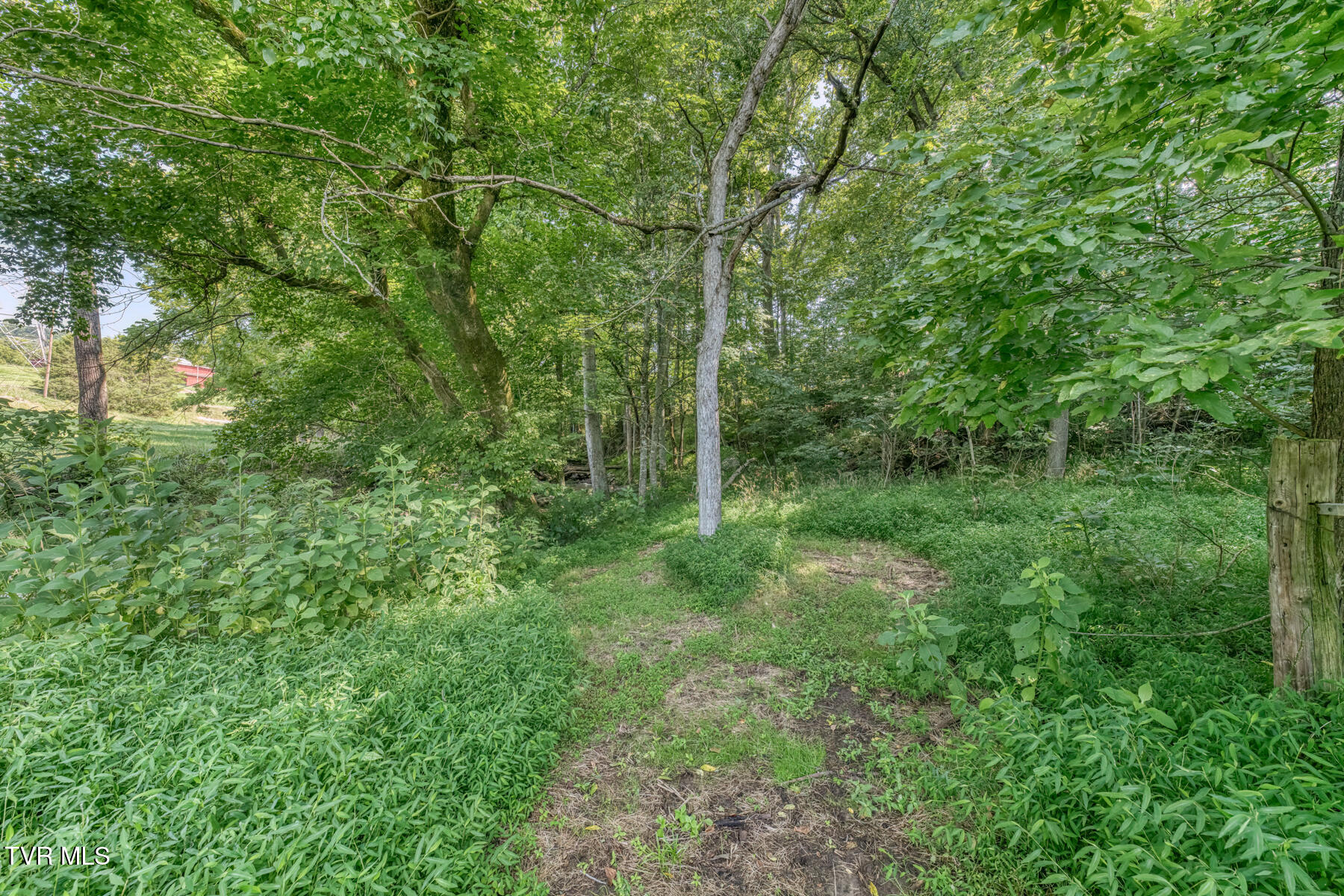 419 Kitzmiller Road Gray, TN 37615 - Photo 75 of 94 419 Kitzmiller Rd-92