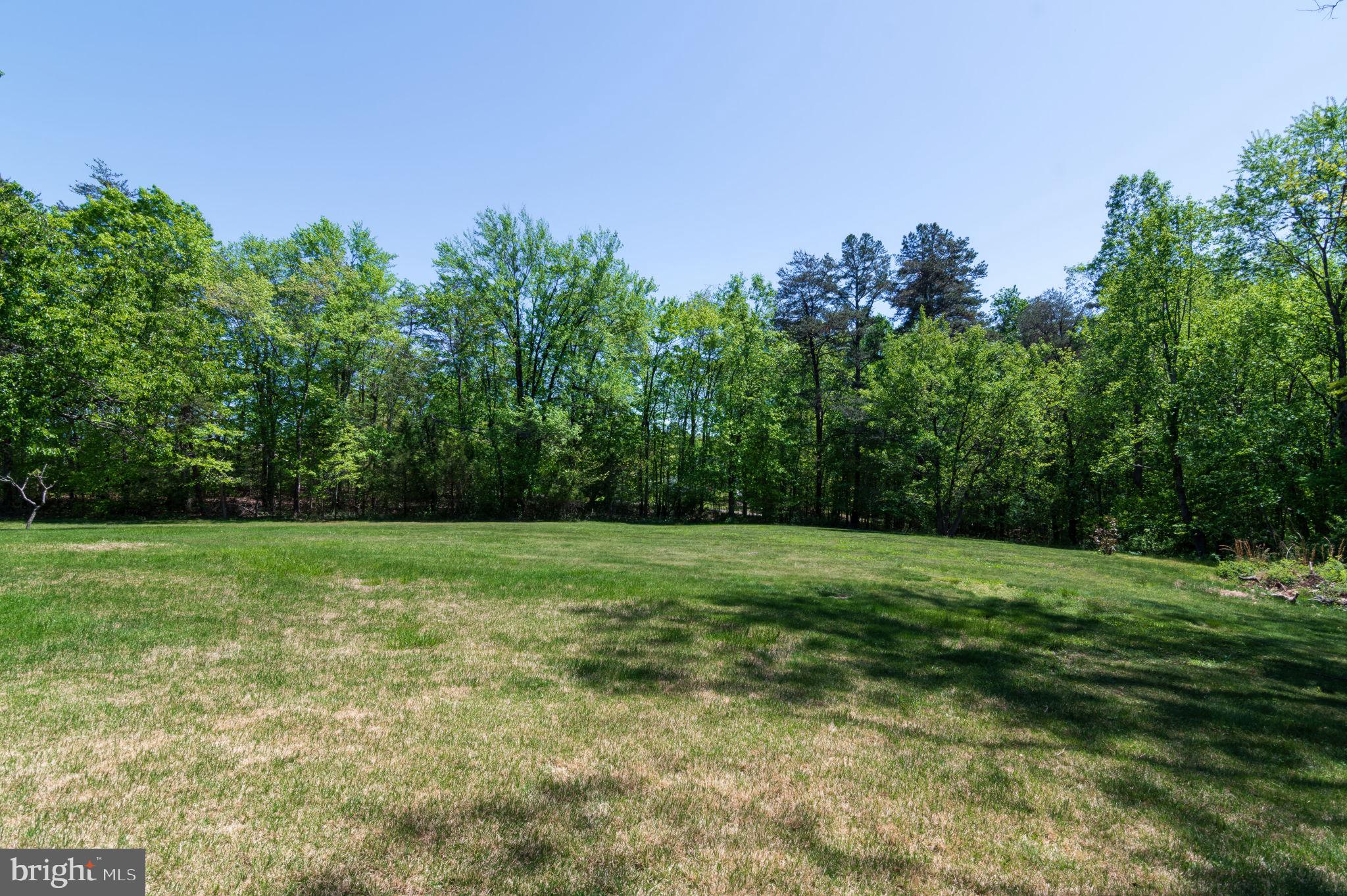 7612 Leeds Manor Road Marshall, VA 20115 - Photo 42 of 46 What Would You Build Here?
