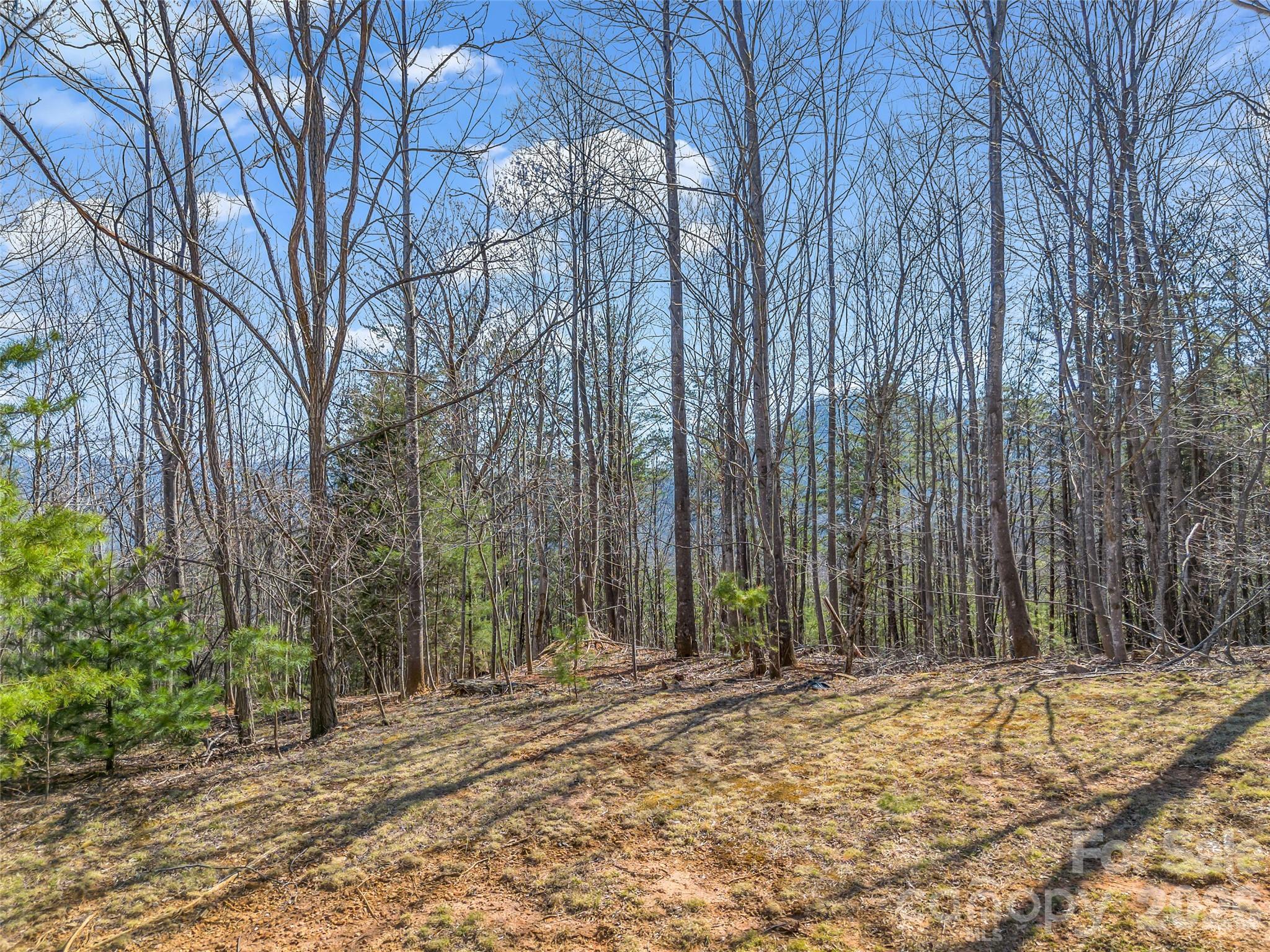 190 Cherry Hill, Unit NONE Mill Spring, NC 28756 - Photo 7 of 39 a backyard of a house with large trees
