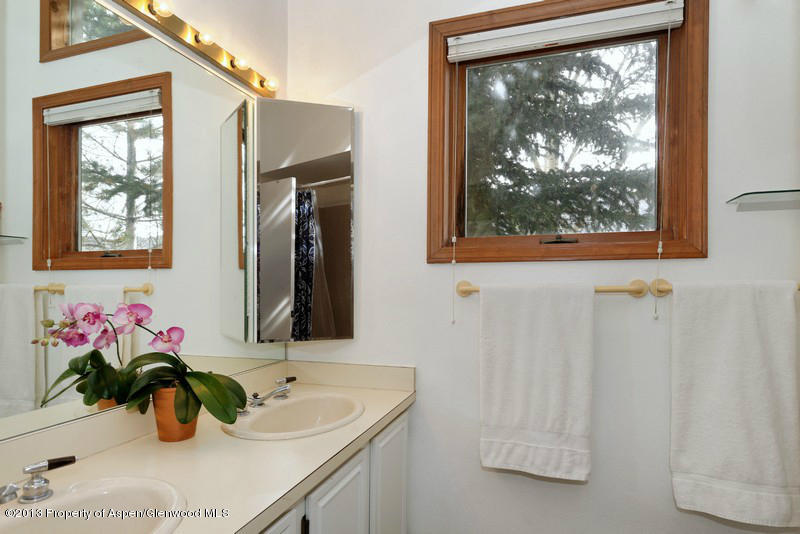 151 Wren Court Basalt, CO 81621 - Photo 5 of 14 Master Bath