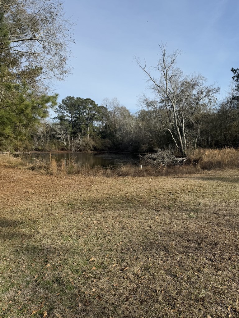 209 Pond View Lane Opp, AL 36467 - Photo 20 of 28