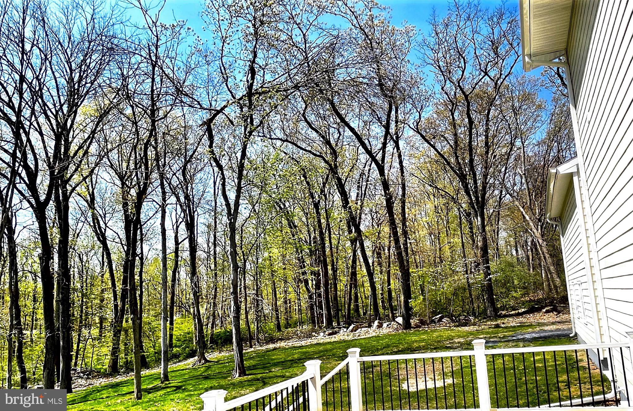 5 Snydertown Road Hopewell, NJ 08525 - Photo 22 of 22 Gallery Image 22