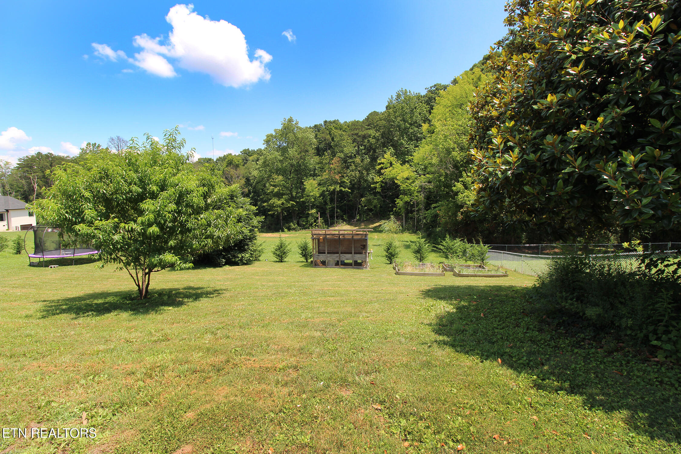 3718 Cherrylog Road Knoxville, TN 37921 - Photo 28 of 31 Backyard