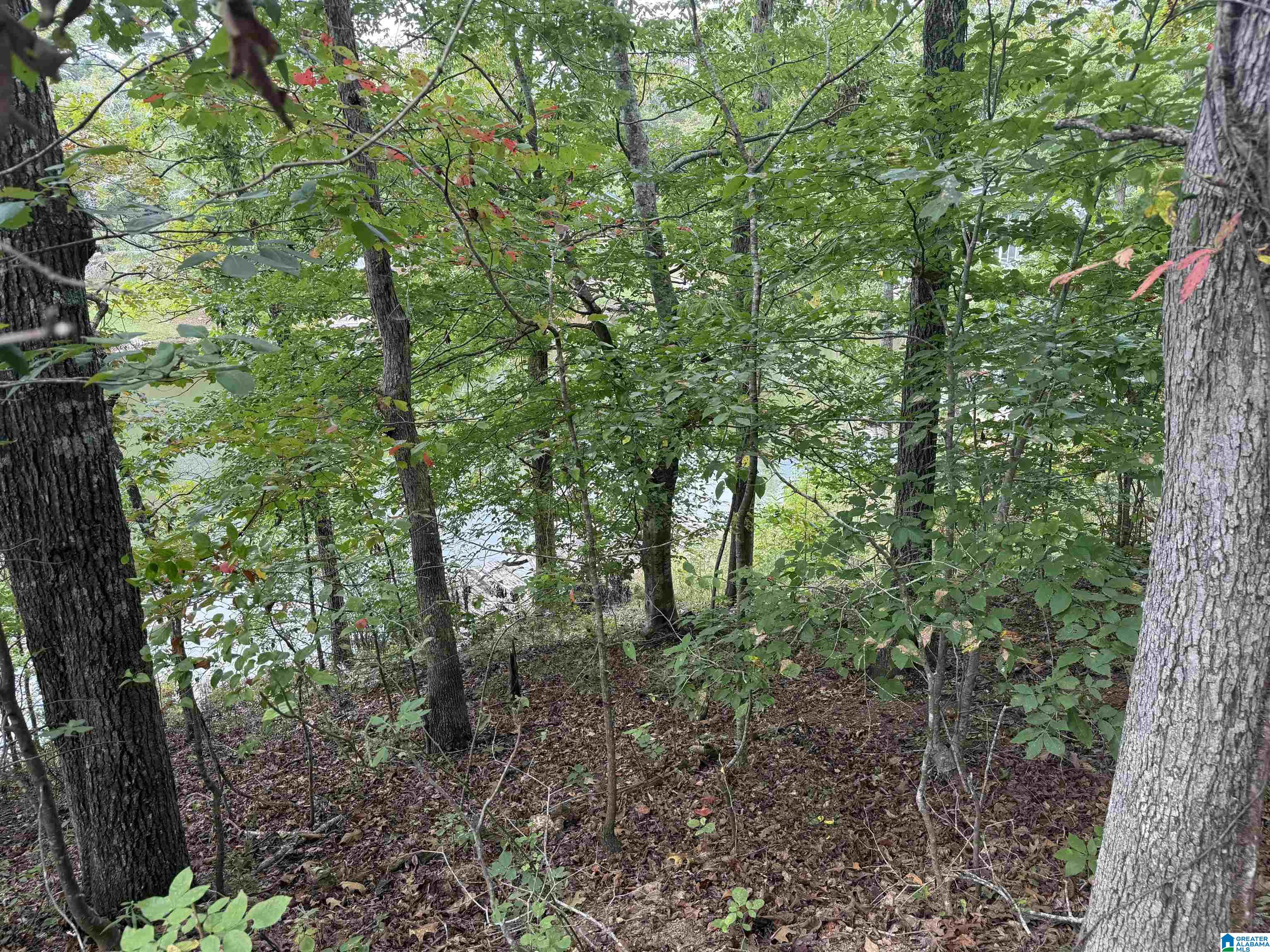 0 Lakeside Circle, Unit 31 Delta, AL 36258 - Photo 6 of 16