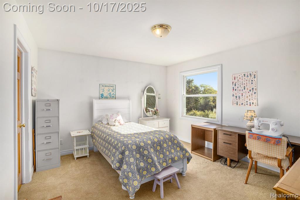 199 East Barron Road Howell, MI 48855 - Photo 23 of 56