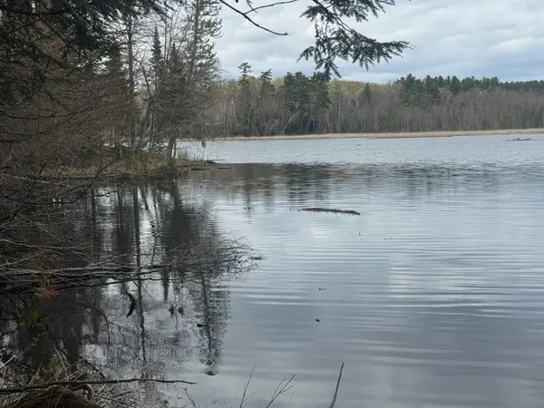 $135,000 | Tbd1.6 Crane Lane, Hayward, WI 54843