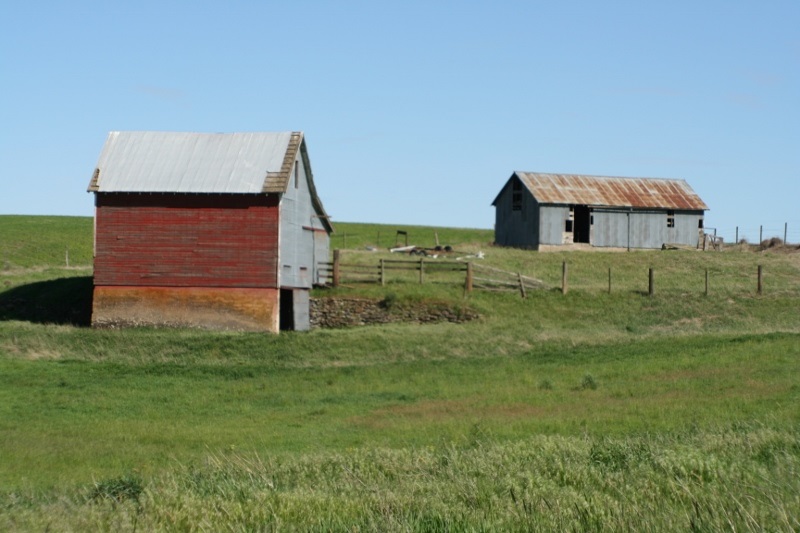 48982 Rice Road East Edwall, WA 99008 - Photo 13 of 20