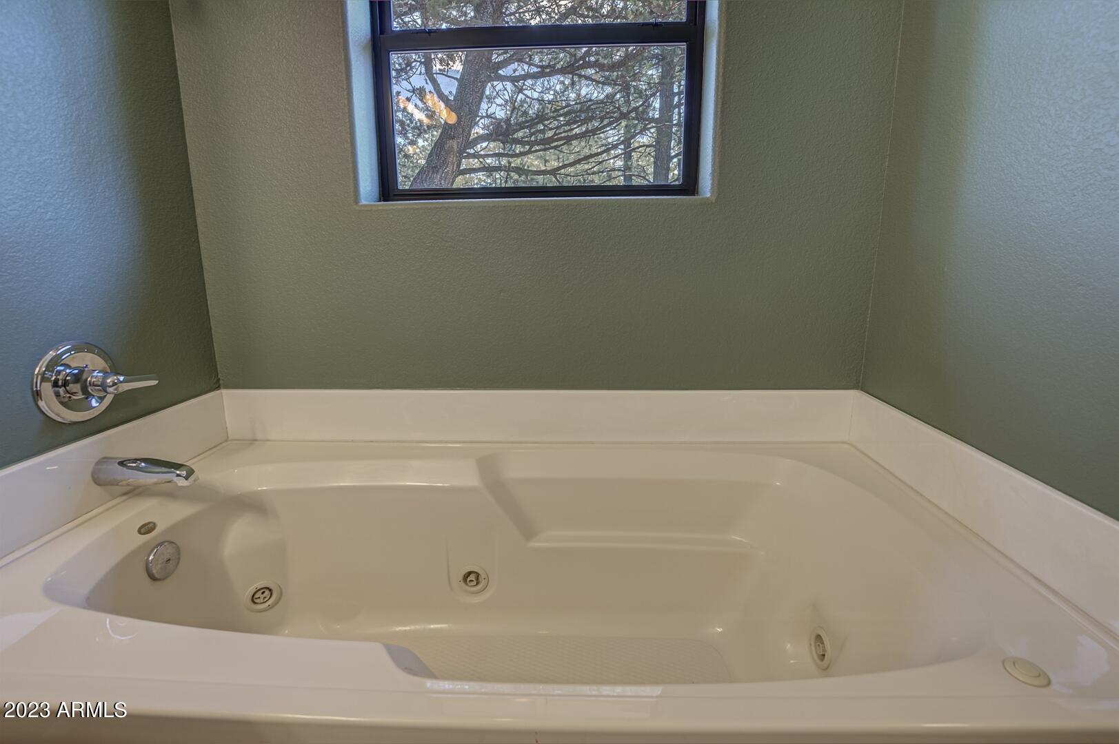 6339 Sharyn Road Pine, AZ 85544 - Photo 32 of 68 IMG_ 28