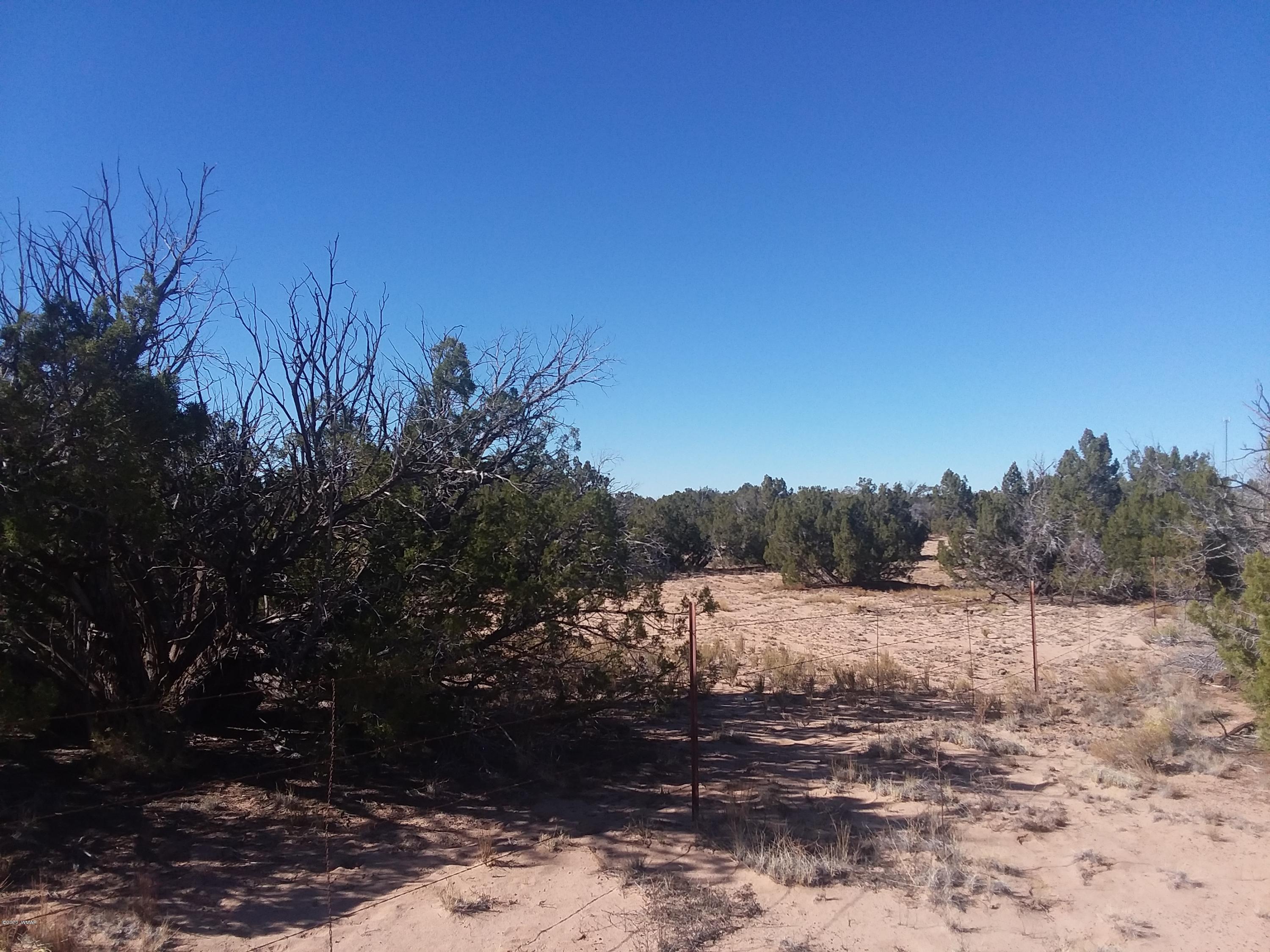 Lot 39 Witch Well Ranch St. Johns, AZ 85936 - Photo 1 of 4 a view of a road with trees in the background