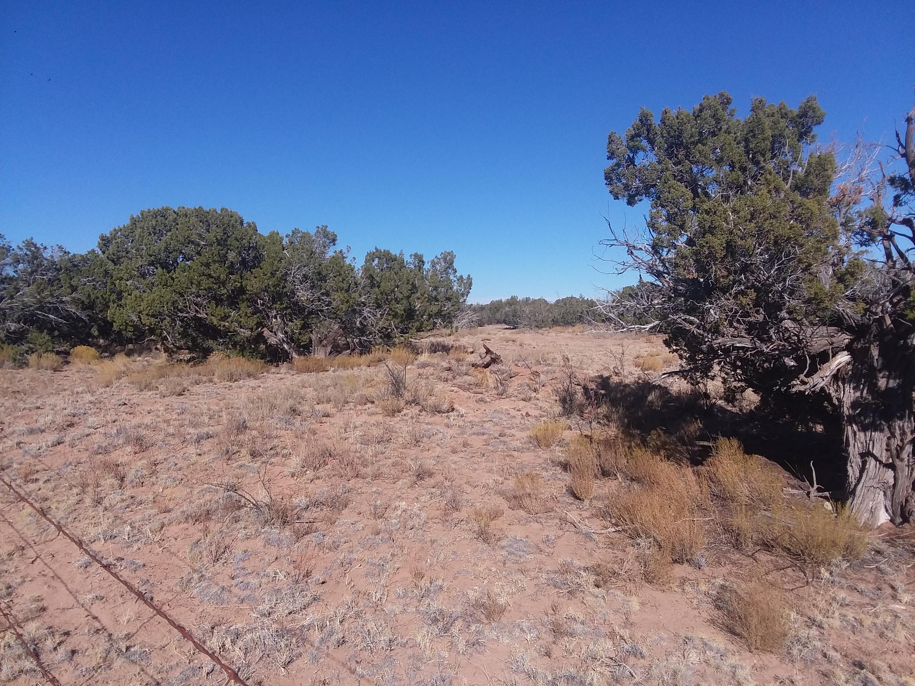 Lot 39 Witch Well Ranch St. Johns, AZ 85936 - Photo 2 of 4 a view of a dry trees with mountain view