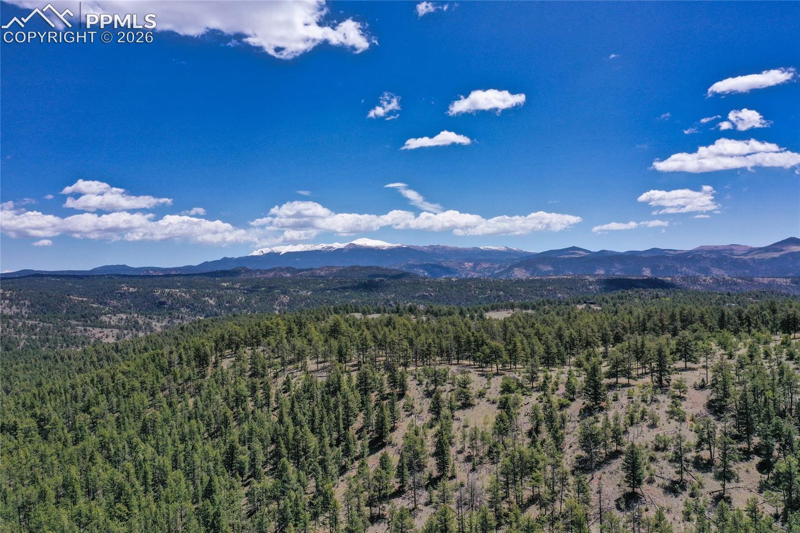 437 Langnis Road Guffey, CO 80820 - Photo 26 of 33 These 100 acres have plenty to show you.