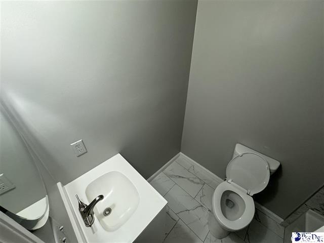 1057 Sam Lee Road Scranton, SC 29591 - Photo 18 of 23 Bathroom with vanity and toilet