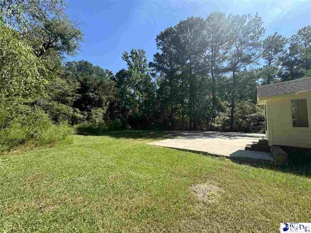 1057 Sam Lee Road Scranton, SC 29591 - Photo 22 of 23 View of yard