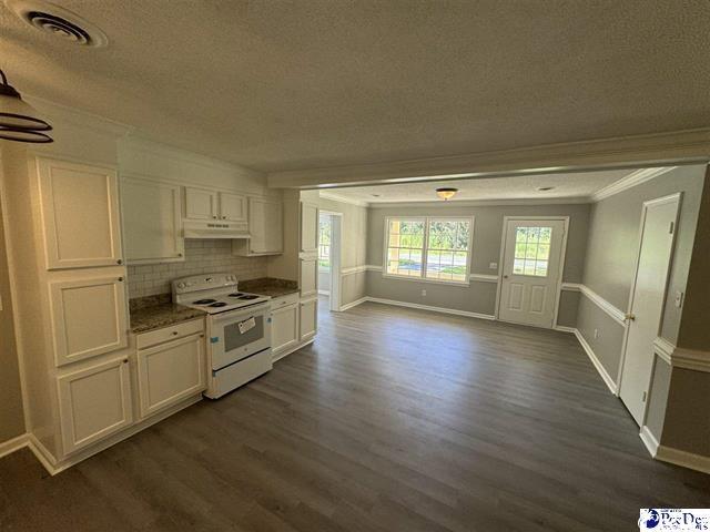 1057 Sam Lee Road Scranton, SC 29591 - Photo 7 of 23 Kitchen featuring dark hardwood / wood-style floor