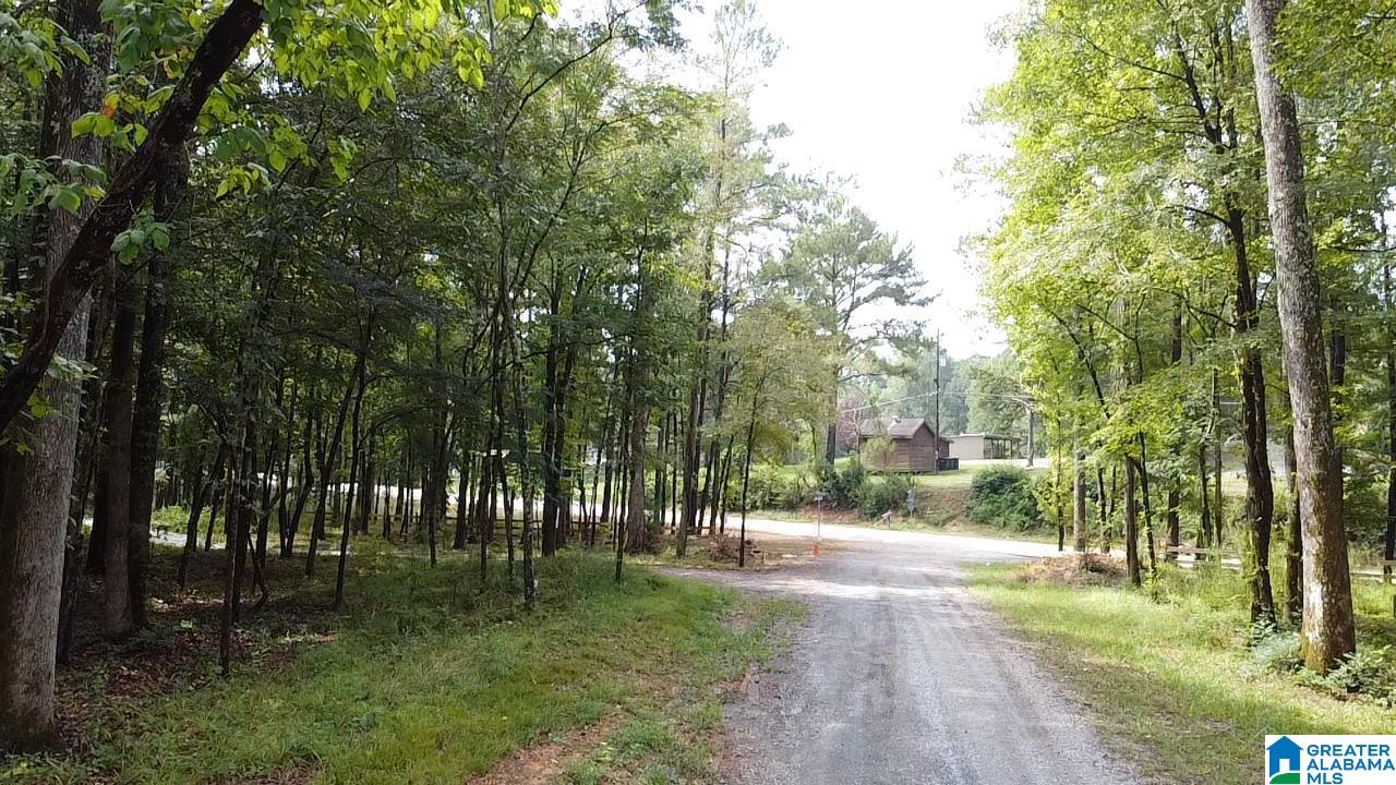 58 Rustic Oaks Drive Sterrett, AL 35147 - Photo 10 of 30