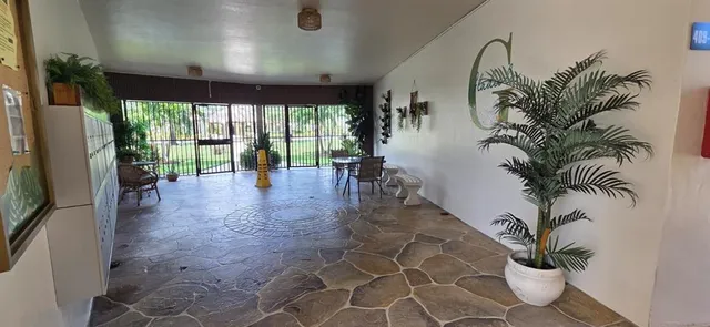 a view of a living room and a potted plant