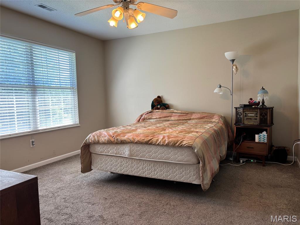 745 Erika Street O'Fallon, IL 62269 - Photo 19 of 28