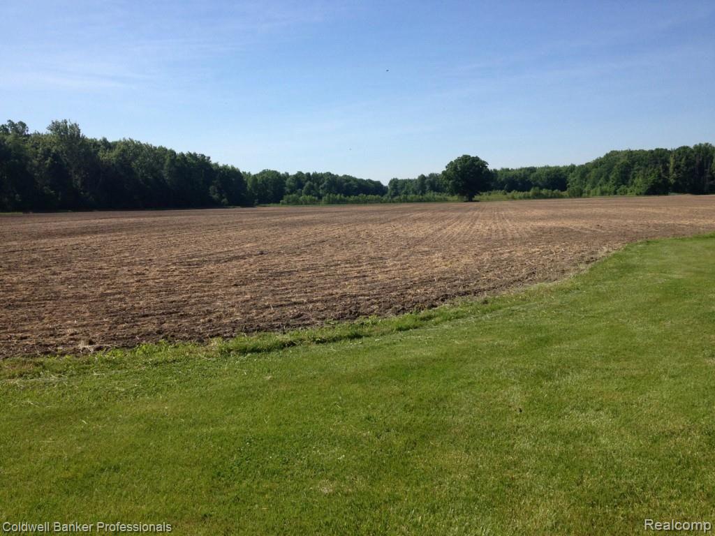 38575 Ash Road New Boston, MI 48164 - Photo 9 of 49 IMG_1004.jpg