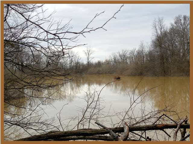 11 Bobby Fields Road Marks, MS 38646 - Photo 2 of 11 Photo 2
