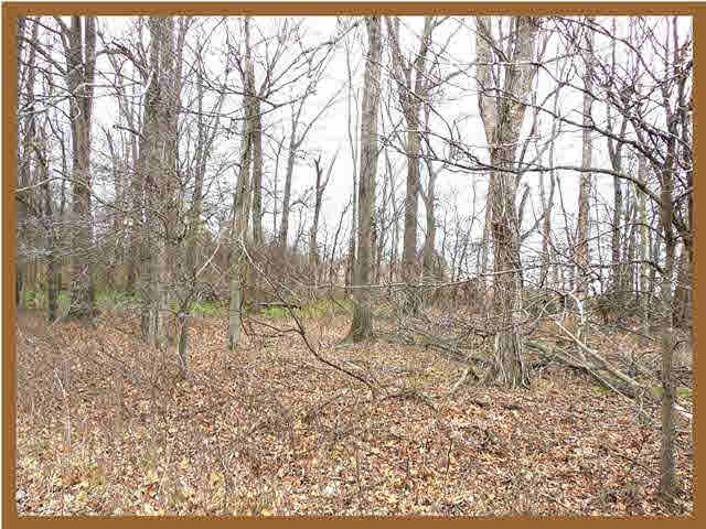 11 Bobby Fields Road Marks, MS 38646 - Photo 6 of 11 Photo 6