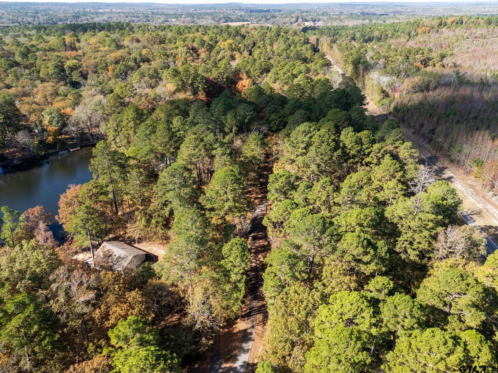 Tbd Rolling Ridge Road Holly Lake Ranch, TX 75765 - Photo 2 of 6