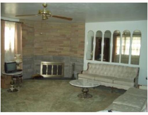 14 Alsop Road Pittsburgh, PA 15215 - Photo 2 of 8 Living Room. 19 x 17 Living Room with unique fireplace. HARDWOOD UNDER CARPETS!