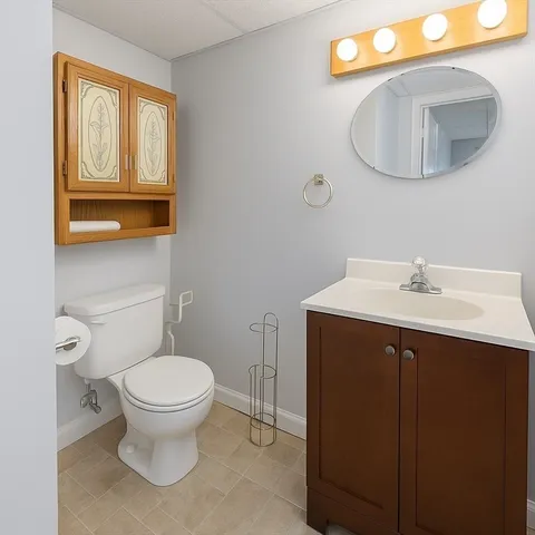 a bathroom with a sink vanity and toilet
