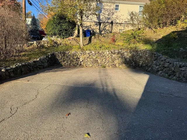 a view of a yard with plants and trees