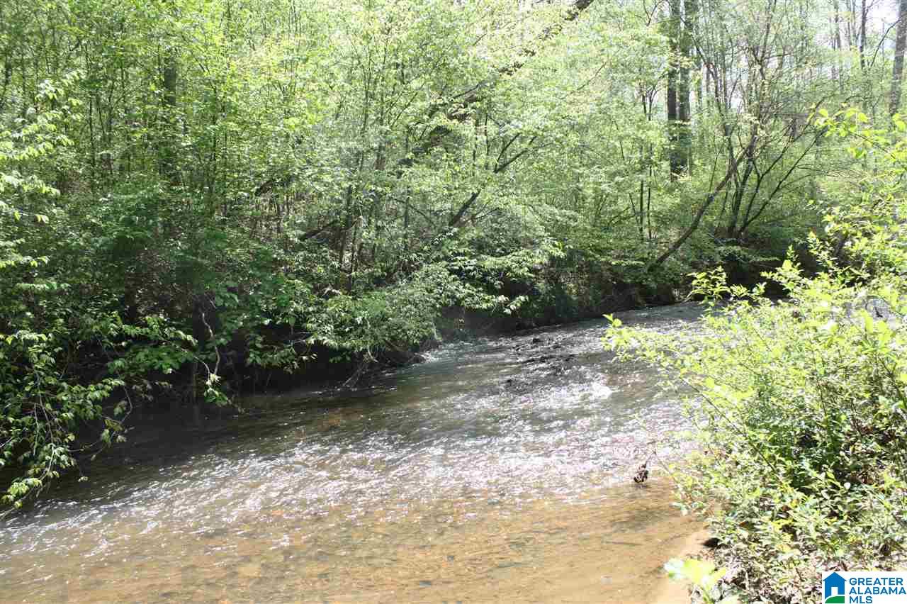 873 County Road, Unit 14 Wedowee, AL 36278 - Photo 7 of 9