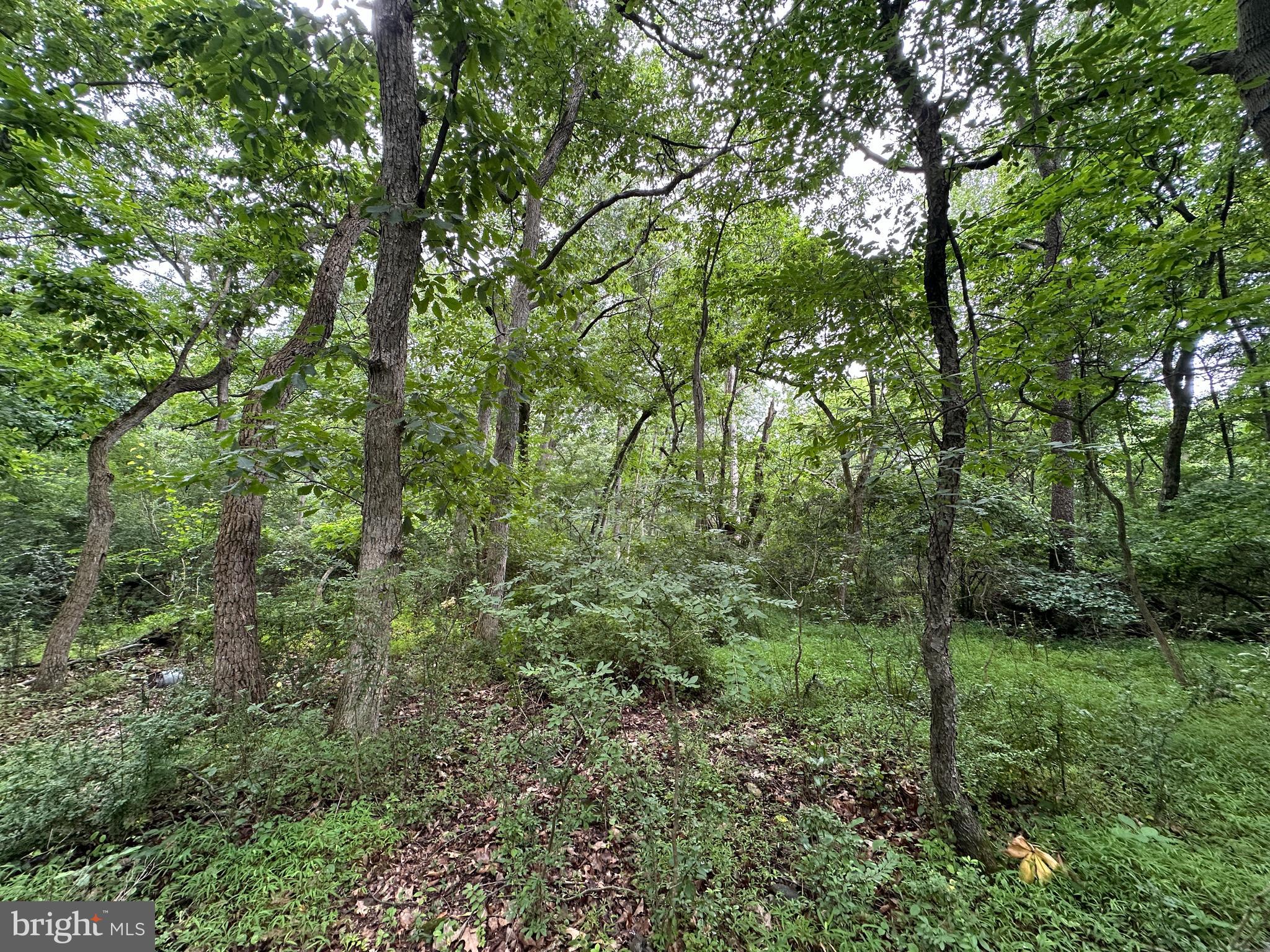 9-acres Polidor Road Waynesboro, PA 17268 - Photo 19 of 20