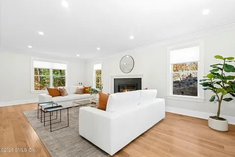 a living room with furniture a fireplace and a potted plant