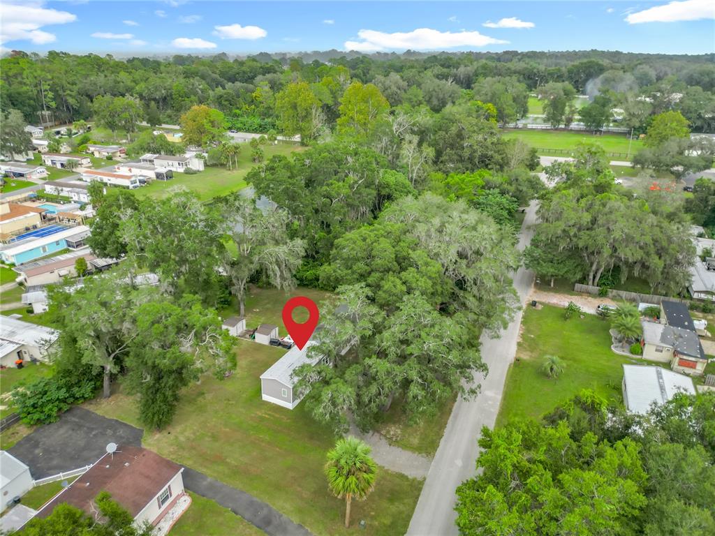 2815 Southwest 89th Place Ocala, FL 34476 - Photo 2 of 36 a view of a lush green forest with lots of trees