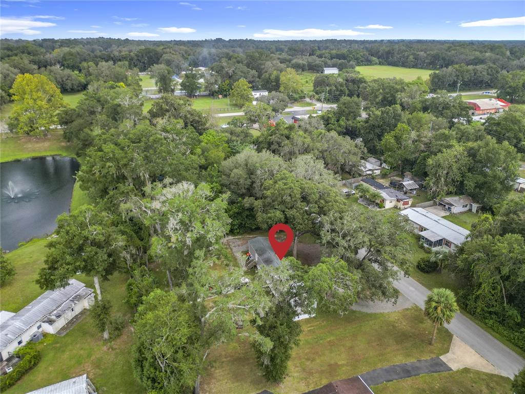 2815 Southwest 89th Place Ocala, FL 34476 - Photo 30 of 36 a view of a forest with a lake