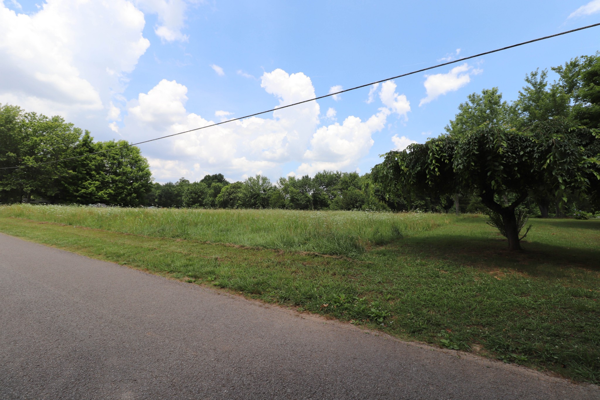 96 Cope Road Morrison, TN 37357 - Photo 2 of 19 a view of a big yard with a big yard